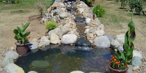 Езерце в страната - как да проектирате, построите и украсите езерце за градина и лятна вила